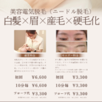 美容電気脱毛メニュー表